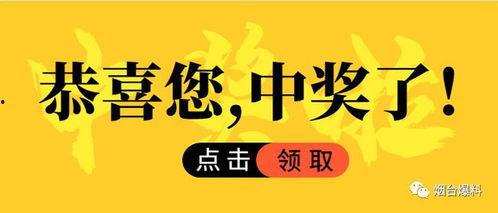 烟台爆料最新热点,聚焦城市热点事件追踪