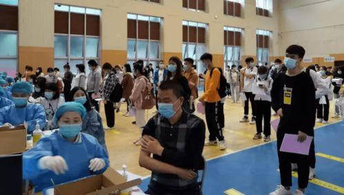 石家庄南营爆料最新消息,揭秘事件背后真相