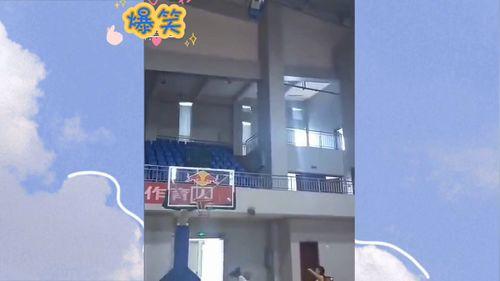 沙雕视频爆料网站大全最新,笑料横生尽在其中！