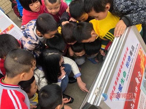 开封小学爆料事件视频最新,真相揭开，家长学生共同关注