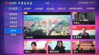 胶州最新爆料新闻事件视频,事件视频揭露惊人真相